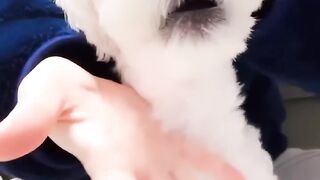 Its so cute????