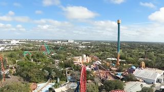 What is your favorite dive coaster ?