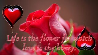 QUOTES for my Darling