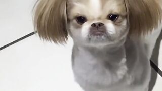 It seems a bit unhappy