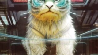 Support legislation on animal protection laws! My little cat is also a hero who crosses time and space to protect me!
