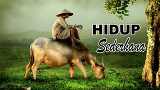 Hidup Sederhana