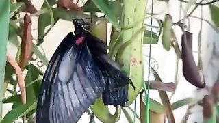 What a wonderful creature ????.