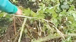 Proses memindahkan ketempat yang lebih lebih aman