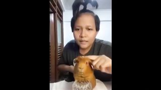 offensive memes that ylyl v21