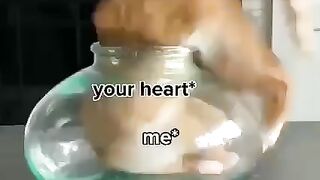 Me & Your Heart