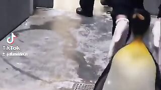 Penguins