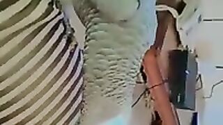African grey parrot boxing! -Funny shorts-.