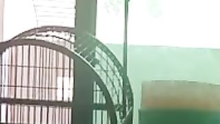 African grey parrot says -ya ali- -cute parrot-.
