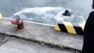 #FunnyVideos #LaughUntilYourStomachHurts #HaveYouLaughedToday