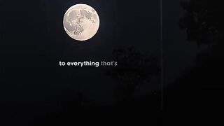 1Life, Lyric Music aesthetic