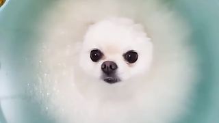 I'm in the bath. I'm so comfortable