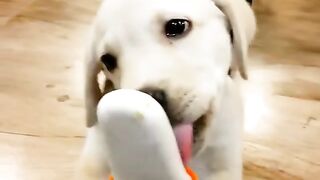 It's delicious. It's great