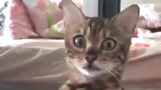 You got me. Go hide