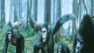 War the planet of the apes