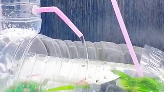Bagian 23. Ikonik unik dari limbah botol