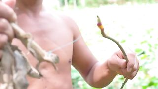 Catch gecko to eat