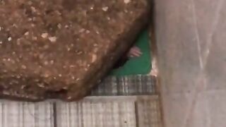 Funny videos 164