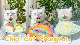YUMMY ! This Week's Menu Is Coming  Easy Homemade Foods _ Chef Cat