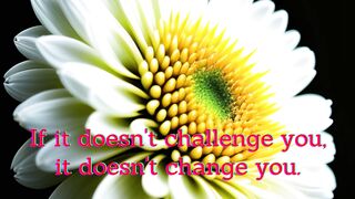 QUOTES to inspire the class