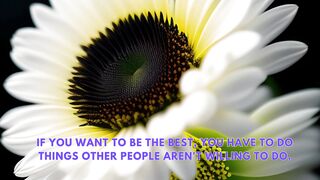 Teacher QUOTES to inspire students,