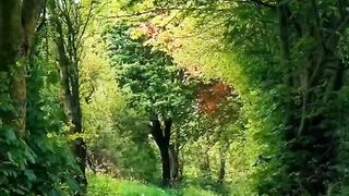 Less entanglement with people, more closeness to nature