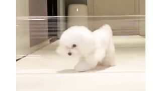 Mission Impossible 2