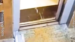 TRY NOT TO LAUGHING I Best Funny Videos Compilation 2023 # 151