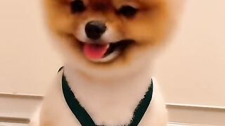 You look so good with a smile!