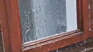 Cat: Despise Me