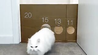 It was a huge jump????????????.