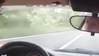 First driving ferrari fails