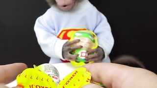 Monkey 14