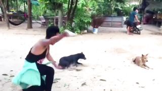 Dog Prank, Fake Tiger