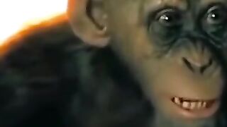 Animals prikol 5
