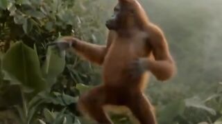 Animals prikol 6