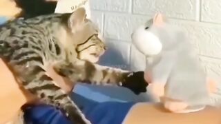 Animals prikol 11