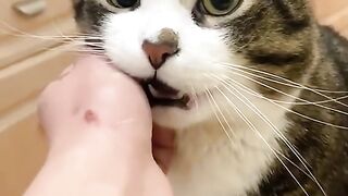he can't do it hahaha