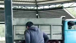 Prikol 9 2