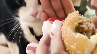 Hey..Nood...Give Me Some...