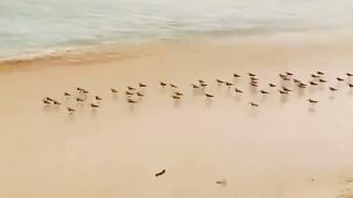 Beach scenery