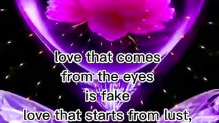 The love 2