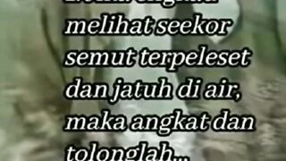 Nasehat habib Umar