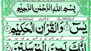 Learn_And_Read_Surah_Yasin__Yaseen__036_Surah_Yasin_Full__86__Yasin__with_urdu_translation__(360p).