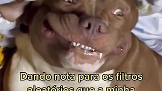 dando nota para os filtros