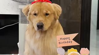 happy birthday!