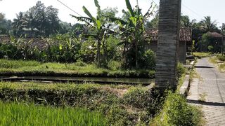 Good village