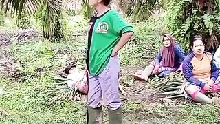 Mothers are excited