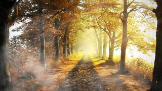 Autumn scenery