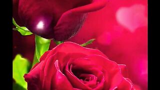 Air Supply - Good bye